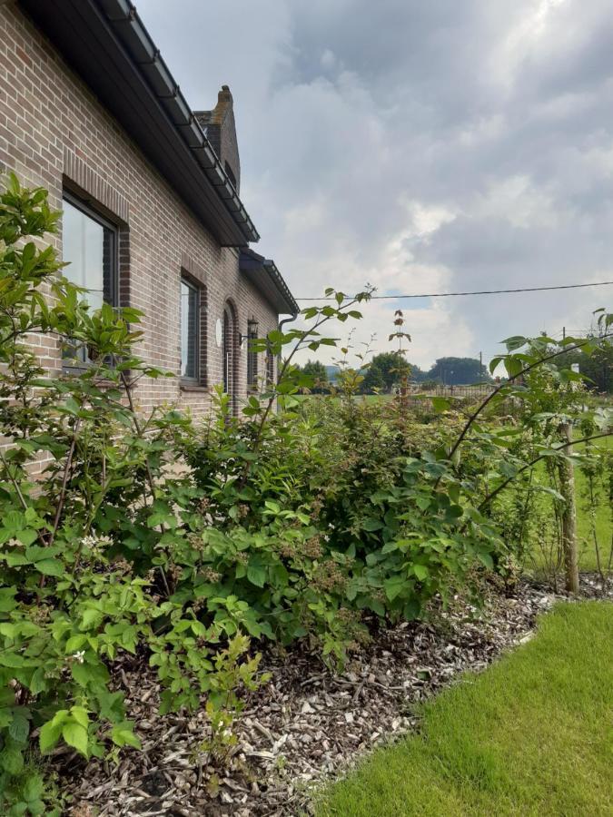 Vakantiehuis Zoetendaal Reningelst Εξωτερικό φωτογραφία